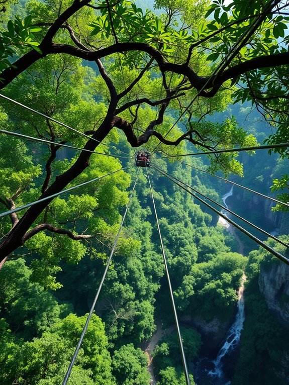 adventure through lush canopies