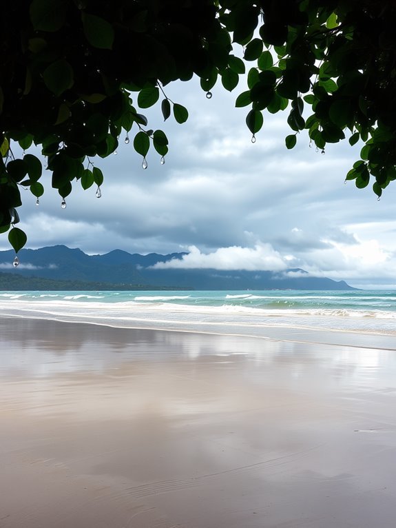 tropical paradise with beaches